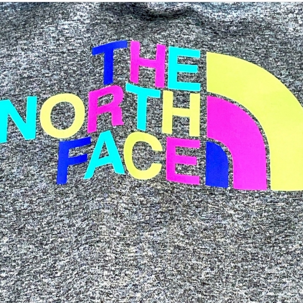 The North Face Half Dome Hoodie